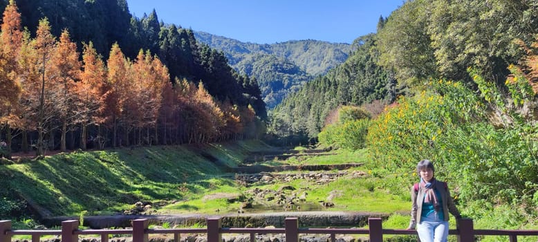 Zhushan, Nantou County - Dec 1, 2021: Shanlinxi Forest Ecological Resort features rich theme activities, seasonal flowers and rich ecology