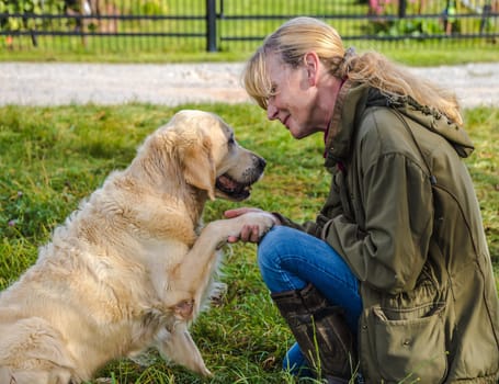 Beige senior Golden Retriever gives paw to her female owner