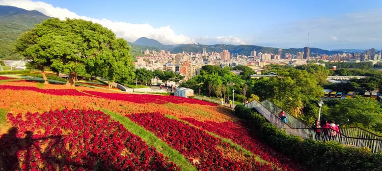 The San-Tseng-Chi Urban Park on a bright sunny day with colorful flower fields on the hillside under blue clear sky during Flower Festival, in Beitou District, Taipei City, Taiwan