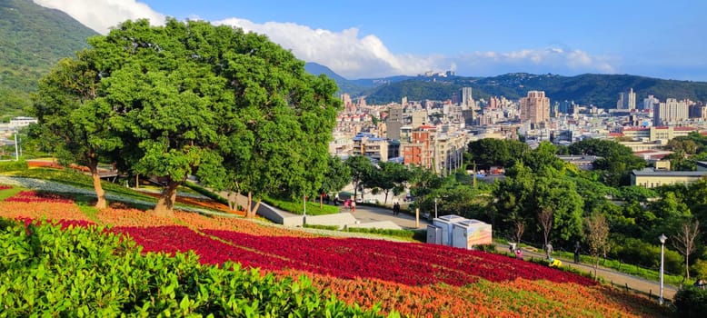 The San-Tseng-Chi Urban Park on a bright sunny day with colorful flower fields on the hillside under blue clear sky during Flower Festival, in Beitou District, Taipei City, Taiwan