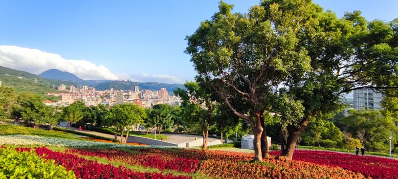 The San-Tseng-Chi Urban Park on a bright sunny day with colorful flower fields on the hillside under blue clear sky during Flower Festival, in Beitou District, Taipei City, Taiwan