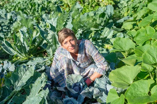 woman with red cabbage in the garden