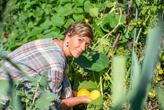 woman with pumpkin in the garden