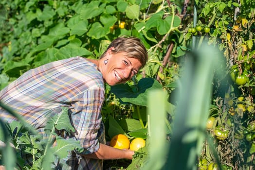 woman with pumpkin in the garden