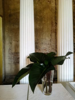 Large green leaves of philodendron on a table in a vase.