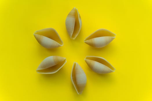 Yellow large pasta in the shape of shells on a yellow background.