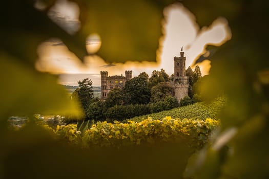 german castle framed with leaves
