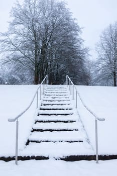 snowy stairs with trees