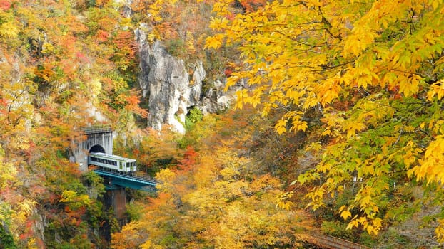 The Naruko Gorge valley with rail tunnel in Miyagi Tohoku Japan