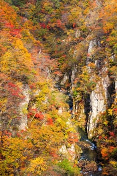 The Naruko Gorge valley with rail tunnel in Miyagi Tohoku Japan