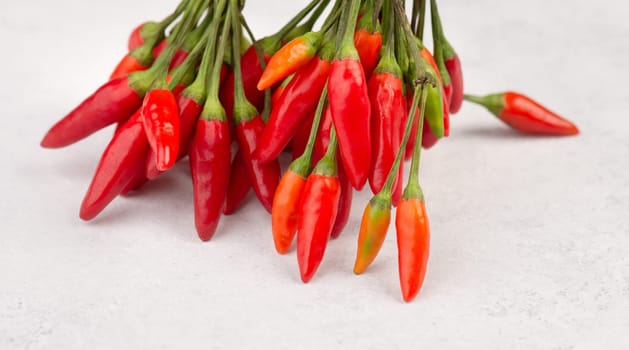 Red hot chili pepper on a white textured background, ingredients for spicy food, copy space for text