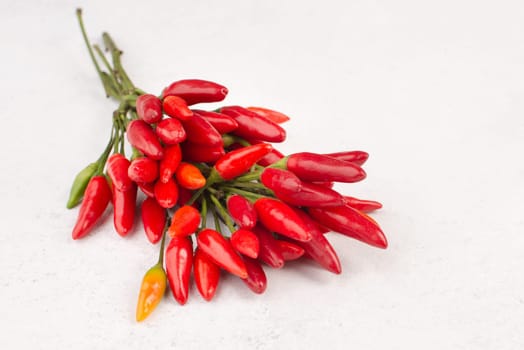 Red hot chili pepper on a white textured background, ingredients for spicy food, copy space for text