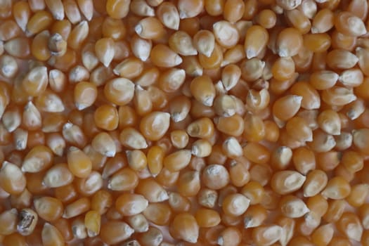 delicious natural corn popcorn flour grain food