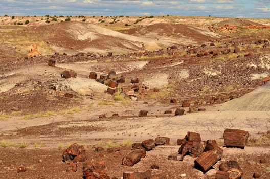 Scenic landscape of the ancient petrified forest in Arizona