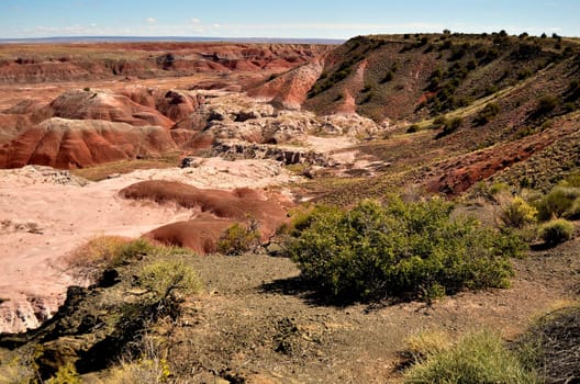 Vibrant colors of the Painted Desert in Arizona
