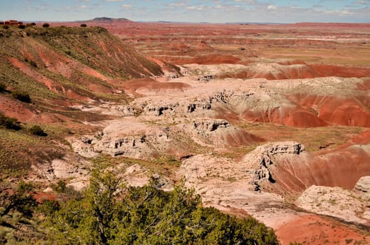 Vibrant colors of the Painted Desert in Arizona