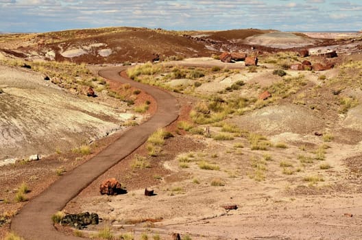 Pathway Through Scenic landscape of the ancient petrified forest in Arizona
