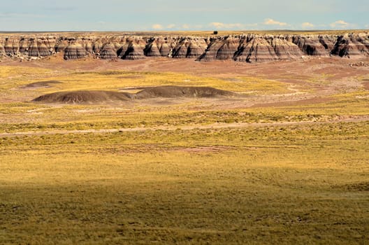 Scenic landscape of the ancient petrified forest in Arizona