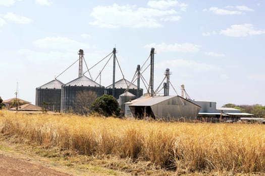 cerrado brazil dry vegetation silo industry agriculture