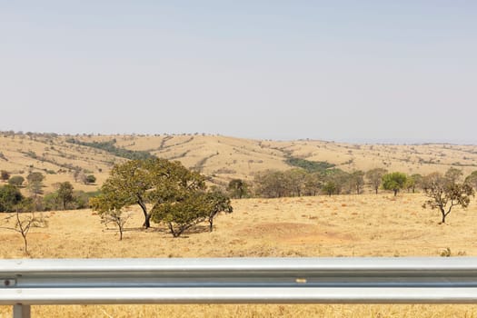 cerrado brazil dry vegetation outdoors mounstains