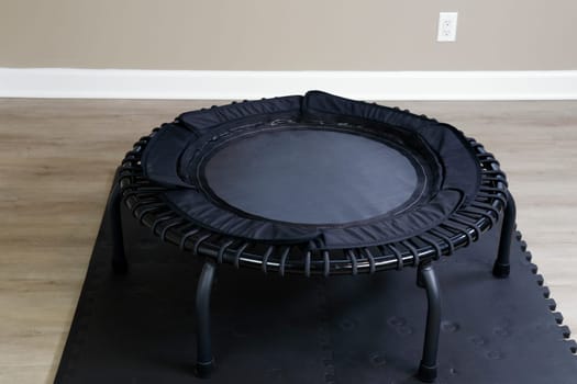 Bungee rebounder on a black exercise mat on vinyl plank simulated wood grain brown and beige flooring. Healthy bungee rebounding exercise equipment on a thick exercise mat in indoor space in the day..