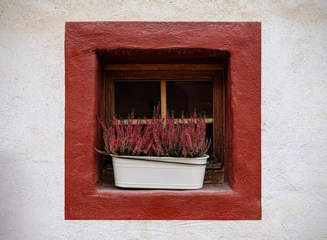flower pot with heather in front of window