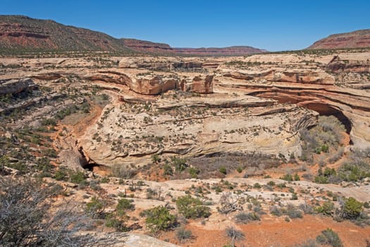 Aerial View of a River Bend in a Desert Canyon in Natural Bridges National Monument in Utah