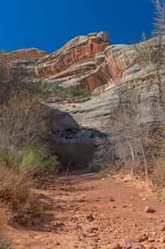 Dry Streambed in a Desert Canyon in Natural Bridges National Monument in Utah