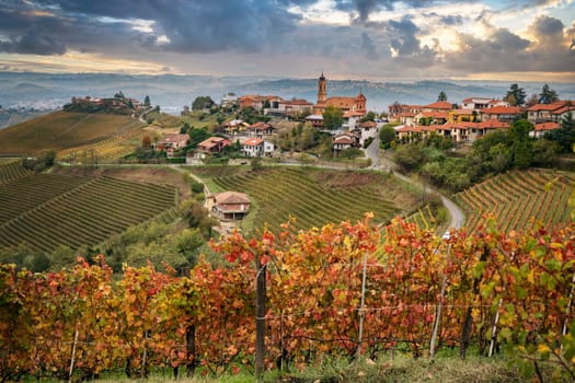 Colorful Autumn scenery in vine yards in Piemont, Italy