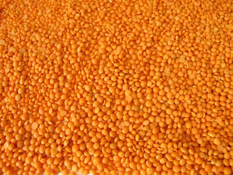 Red lentils distributed flatly on a wooden board