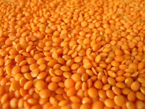 Red lentils distributed flatly on a wooden board