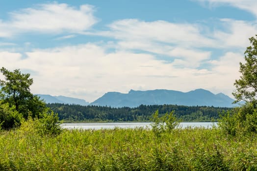 View over the Chiemsee in Bavaria with mountains, meadow, reeds and blue sky