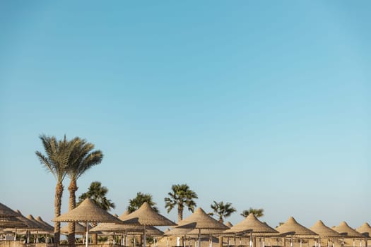 Looking up at wooden straw umbrella or thatched hut and palm trees, beautiful cloudy blue sky view on tropical Egypt beach. Summer or winter holiday concept. Egyptian resort. High quality photo