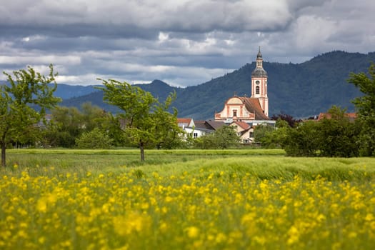 rapesee field and village in germany
