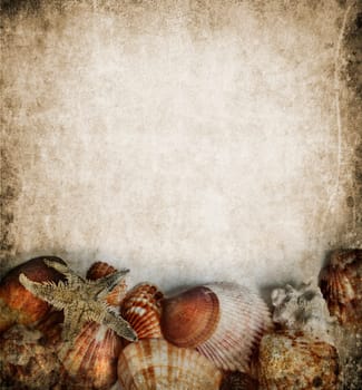 Seashells frame on grungy background