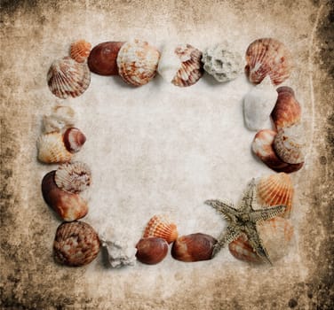 Seashells frame on grungy background