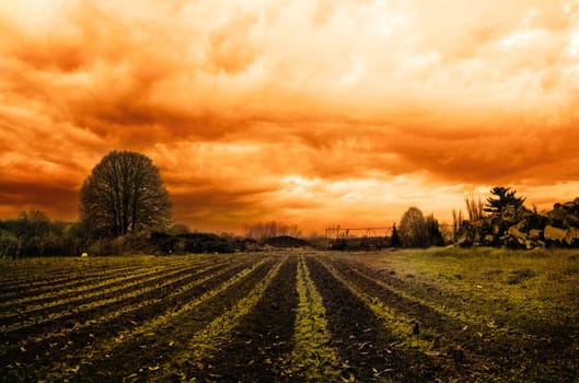 Dramatic landscape with orange clouds