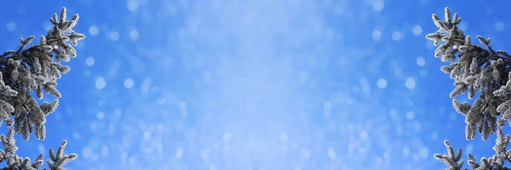 Christmas background fir branches with snowflakes against blue sky
