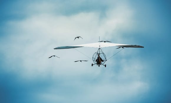 Microlight flying across a blue cloudy sky and surrounded by cranes