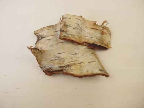 Birch bark - bark pieces from birch tree