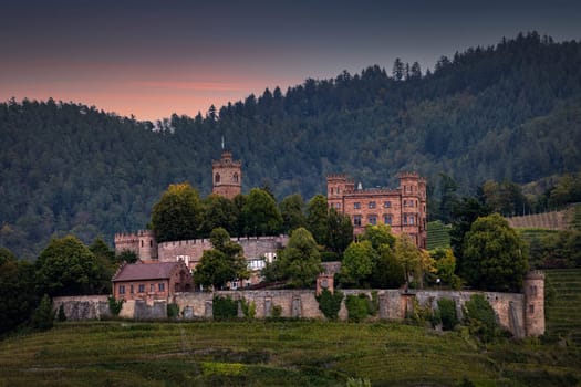 german castle in vineyard