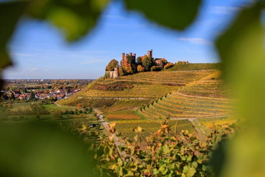 german castle framed in leaves and autumn around