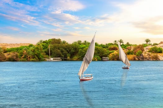 Feluccas and green shore of the Nile, Nubian village, Aswan, Egypt.