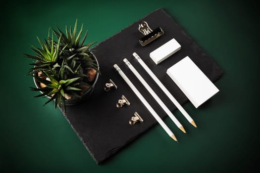 Photo of blank stationery set. Business cards, pencils, eraser, clips, succulent plant and stone board on green background.