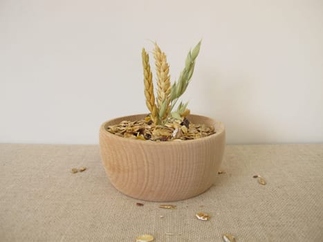 Fruit muesli with whole grain flakes and dried fruits in a wooden bowl