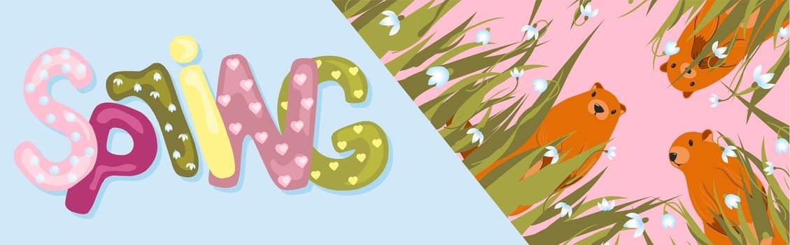 Spring. The inscription on a light background. Trendy trendy background. Groundhog Day horizontal banner. Spring meeting. Cute character marmot rodent.