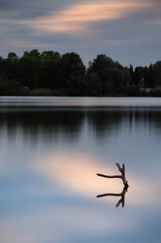 Ast der aus dem See ragt