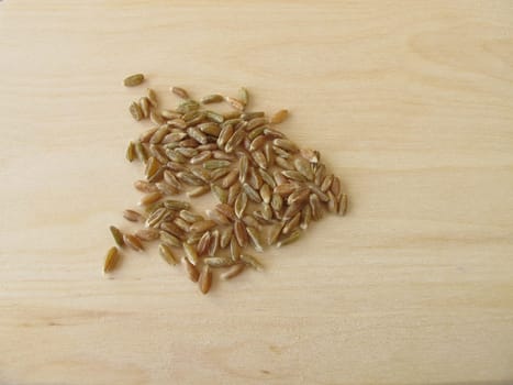 Unripe spelt grain