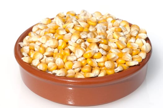 Mais  Zea mays  Maiskoerner