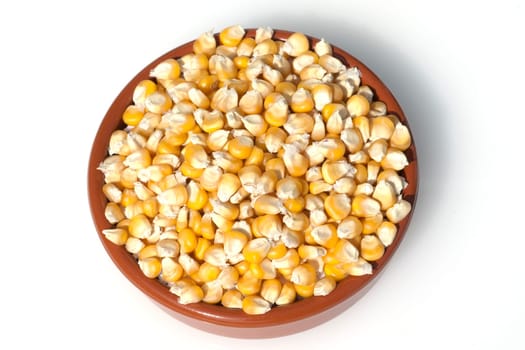 Mais  Zea mays  Maiskoerner